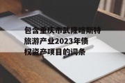 包含重庆市武隆喀斯特旅游产业2023年债权资产项目的词条