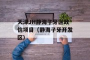 天津JH静海子牙区政信项目（静海子牙开发区）