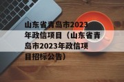 山东省青岛市2023年政信项目（山东省青岛市2023年政信项目招标公告）