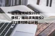 山东潍河城投2023债权，潍坊滨海国投2021债权转让计划