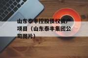 山东泰丰控股债权资产项目（山东泰丰集团公司图片）