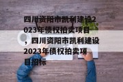 四川资阳市凯利建设2023年债权拍卖项目，四川资阳市凯利建设2023年债权拍卖项目招标