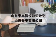 山东泰丰债权融资计划，山东泰丰有限公司