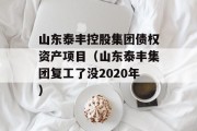 山东泰丰控股集团债权资产项目（山东泰丰集团复工了没2020年）