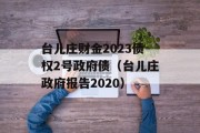 台儿庄财金2023债权2号政府债（台儿庄政府报告2020）