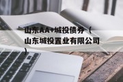 山东AA+城投债券（山东城投置业有限公司）