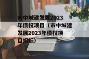 市中城建发展2023年债权项目（市中城建发展2023年债权项目招标）