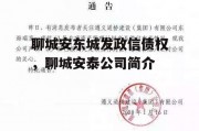 聊城安东城发政信债权，聊城安泰公司简介