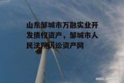 山东邹城市万融实业开发债权资产，邹城市人民法院诉讼资产网