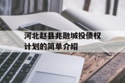 河北赵县兆融城投债权计划的简单介绍