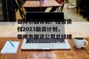 偃师市国有资产经营债权2023融资计划，偃师市国资公司总经理