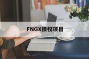 FNGX债权项目