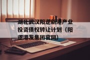 湖北武汉阳逻新港产业投资债权转让计划（阳逻港发集团官网）