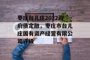 枣庄台儿庄2022政府债定融，枣庄市台儿庄国有资产经营有限公司评级