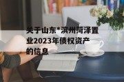 关于山东*滨州菏泽置业2023年债权资产的信息