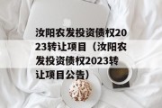 汝阳农发投资债权2023转让项目（汝阳农发投资债权2023转让项目公告）