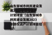 山东邹城市利民建设发展2023年债权资产计划项目（山东邹城市利民建设发展2023年债权资产计划项目招标）