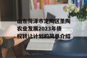 山东菏泽市定陶区圣陶农业发展2023年债权转让计划的简单介绍