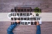 山东邹城市城资控股2022年债权资产，山东邹城市城资控股2022年债权资产管理