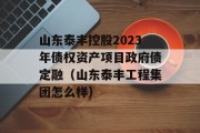 山东泰丰控股2023年债权资产项目政府债定融（山东泰丰工程集团怎么样）