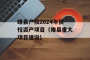 睢县产投2024年债权资产项目（睢县重大项目建设）