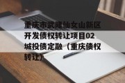 重庆市武隆仙女山新区开发债权转让项目02城投债定融（重庆债权转让）