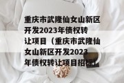 重庆市武隆仙女山新区开发2023年债权转让项目（重庆市武隆仙女山新区开发2023年债权转让项目招标）