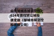 山东邹城市城资控股2024年债权转让城投债定融（邹城市城资控股有限公司）