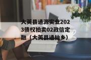 大英县通源实业2023债权拍卖02政信定融（大英县通仙乡）