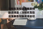 汝阳农发投资发展债权融资项目（汝阳农发投资发展债权融资项目招标）