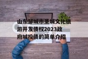 山东邹城市圣城文化旅游开发债权2023政府城投债的简单介绍