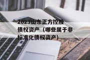 2023山东正方控股债权资产（哪些属于非标准化债权资产）