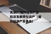 天津ZY循环经济产业投资发展债权资产（循环经济产业基金）