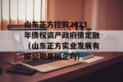 山东正方控股2023年债权资产政府债定融（山东正方实业发展有限公司是国企吗）