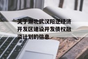 关于湖北武汉阳逻经济开发区建设开发债权融资计划的信息