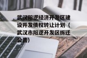 武汉阳逻经济开发区建设开发债权转让计划（武汉市阳逻开发区拆迁公告）