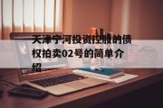 天津宁河投资控股的债权拍卖02号的简单介绍