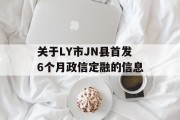 关于LY市JN县首发6个月政信定融的信息