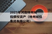 2023年河南林州城投债权资产（林州城投集团有限公司）