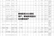 聊城民安2022债权资产，聊城民安置业2020债权资产