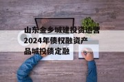 山东金乡城建投资运营2024年债权融资产品城投债定融