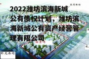 2022潍坊滨海新城公有债权计划，潍坊滨海新城公有资产经营管理有限公司