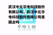 武汉中元华电科技股份有限公司，武汉中元华电科技股份有限公司是国企吗