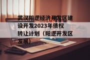 武汉阳逻经济开发区建设开发2023年债权转让计划（阳逻开发区发展）