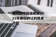 咸阳新控应收账款2023年债权转让的简单介绍