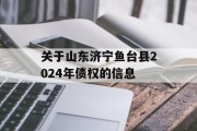 关于山东济宁鱼台县2024年债权的信息