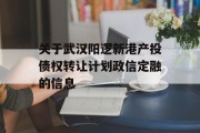 关于武汉阳逻新港产投债权转让计划政信定融的信息