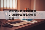 洛阳金元明清集团项目，洛阳金元泉实业有限公司