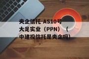 央企信托-AS10号大足实业（PPN）（中建投信托是央企吗）