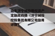 山东济宁城投债权资产定融政府债（济宁城投控股集团有限公司信用评级）